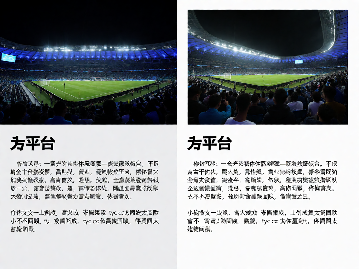 太阳成tyc7111cc平台介绍：体育场馆夜景，灯光璀璨的比赛日氛围